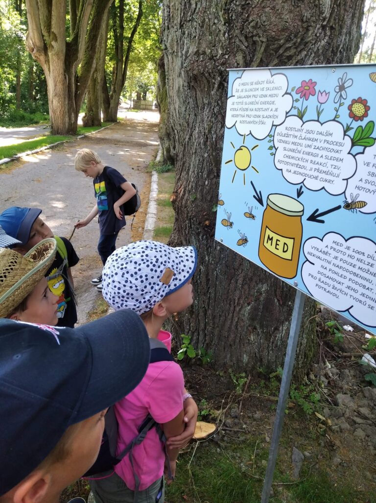 Návštěva ve včelařské expozici